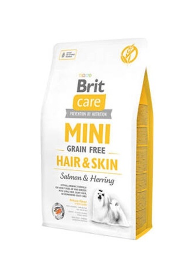 Mini Hair Skin Somonlu Ve Ringa Balıklı Küçük Irk Tahılsız Yetişkin Köpek Maması 2 Kg