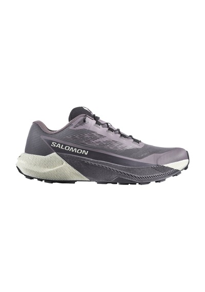 Salomon Salomon Pulsar Kadın Gri Patika Koşusu Ayakkabısı 8413 Gri