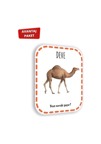 12-24 Ay Cırt Cırtlı Etkinlik Kitabı Ve Ilk Adım Zeka Kartı Hayvanlar
