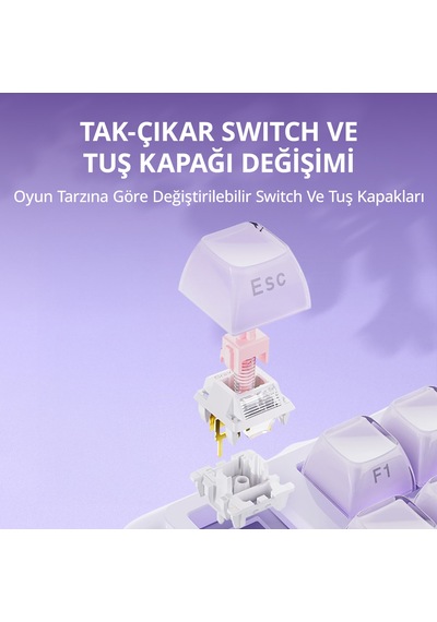 Gravastar Mercury K1 Mekanik Gaming Klavye Ve M1 Pro Kablosuz Optik Mouse Seti, Lavender Purple