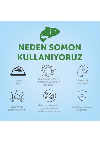 Nature's Protection Küçük Irk Somonlu Yetişkin Köpek Sı 2 Kg 100 G