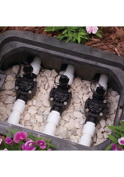 Rain Bird 100-hvbsp9v Solenoid Vana 1 İnç 9v. 8 Adet