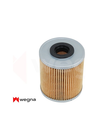 Wegna Wf4076 Yakıt Filtresi Master Iı-master Iıı-trafıc Iı-movano Iı-vıvaro 2.2dtı-2.5dtı-2.5cdtı P 718x 7701475229-16405-00qac-4412830 -