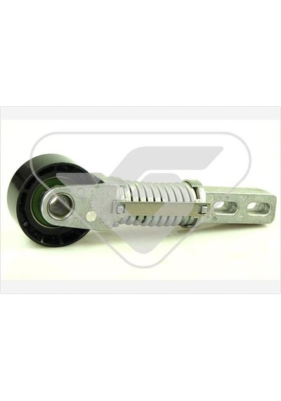 Hutchınson T2036 Alternatör Gergi Rulmanı Kollu Megane 1.9dcı- 1.9dtı 99-  - scenıc 1.9d 99- 03 - espace Iıı 1.9d F9q 8200230958- 8200065970