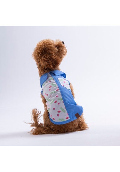 Ruby Slice Denim Karpuz Desenli Kot Kedi Köpek Gömleği-kedi Köpek Kıyafeti-kedi Gömlek-köpek Gömlek