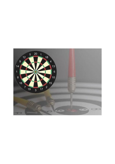 Çift Taraflı Dart Seti 28 Cm Dart Tahtası 4 Metal Uçlu Ok Çok Renkli - 855166806