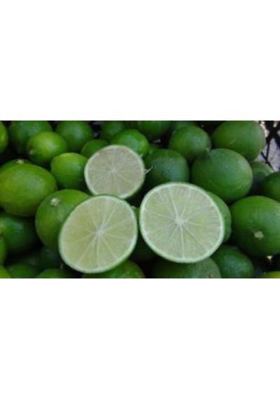 Nadir Ithal Lime Tohumu Ekim Seti