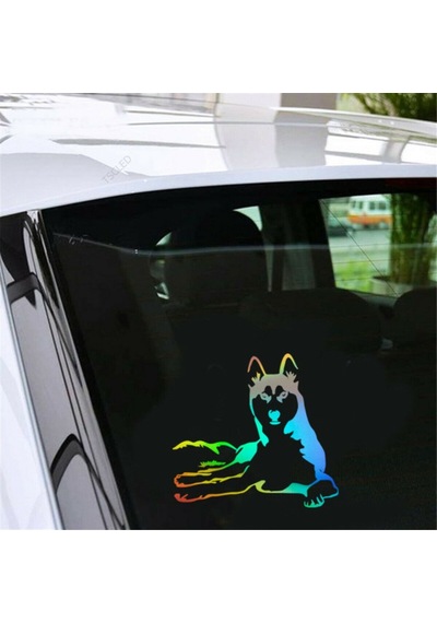 Husky Köpek Araba Sticker Yapıştırması 1
