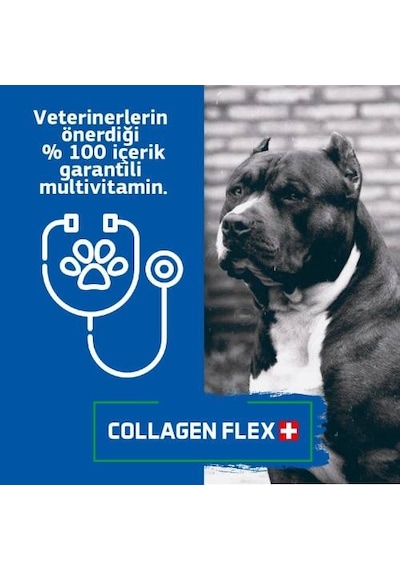 Collagen Flex Köpekler İçin Yeni Nesil Gelişim Ürünü Toz 10 x 400 G