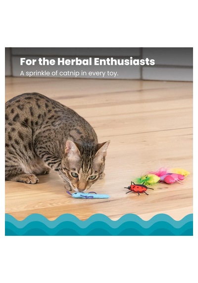 Petstages Cute As A Bug Böcek Şeklinde Catnip'li Kedi Çiğneme Oyuncağı 6'lı Paket