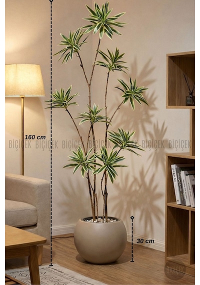 Biçiçek Yapay Dragon Bi̇tki̇si̇ 160 Cm Antresi̇t Mocha Saksıda Alaca Yaprak