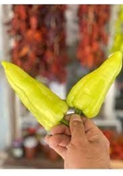 100 Adet Tohum Nadir Kale Acı Biber Tohumu Saksı Toprak Hediyeli