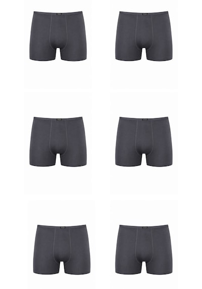 Anıt 1273 Erkek Bambu Boxer 6'lı Paket Füme