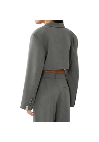 Reborn Society Kadınlar Için Şık Yaka Detaylı Crop Blazer Gri