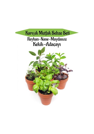Karışık Mutfak Sebze Seti Reyhan+nane+maydanoz+kekik+adaçayı+toplam 6 Adet
