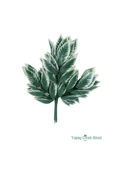 Yapay Çiçek Sitesi Yapay Mango Ağacı Dalı 15 Yapraklı 70 Cm 12 Adet Yeşil-beyaz Beyaz  -  Yeşil