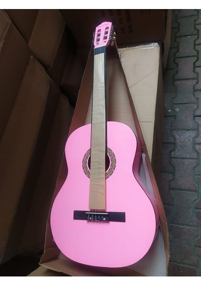 Tam Boy 4/4 Başlangıç Düzeyi Karma Marka Klasik Gitar-Kılıf-Pena