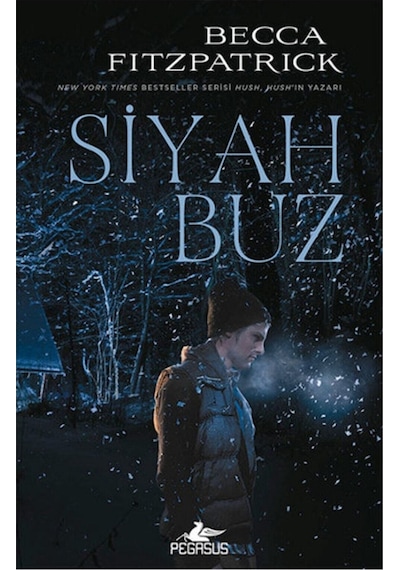 Siyah Buz - Becca Fitzpatrick Ciltli