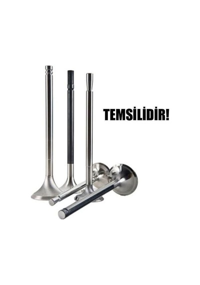 Tetik Fıa-176 Emme Egzoz Subap Takımı Tempra Tipo Slx 1.6