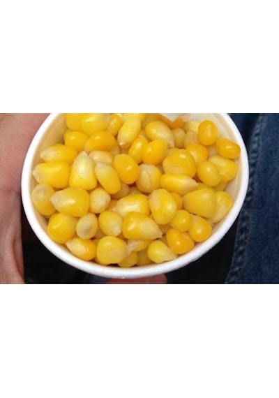 AGRodal Tarım Fulya F1 Hibrit Tatlı Mısır Tohumu 10 GR Bardakta Mısır Tohumu