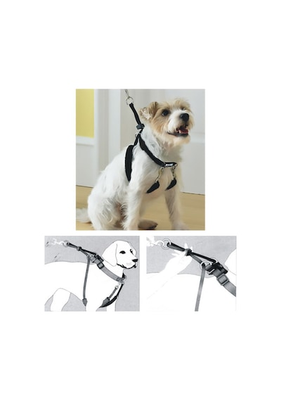 Pawise - 188 - Dog Training Xs 34"x9-12" - Csmo-tex - Eğitim Tasması Yeşil