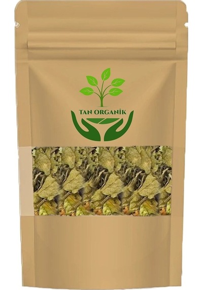 Gimneya Yaprak Cinnema Gurmar 1 Kg