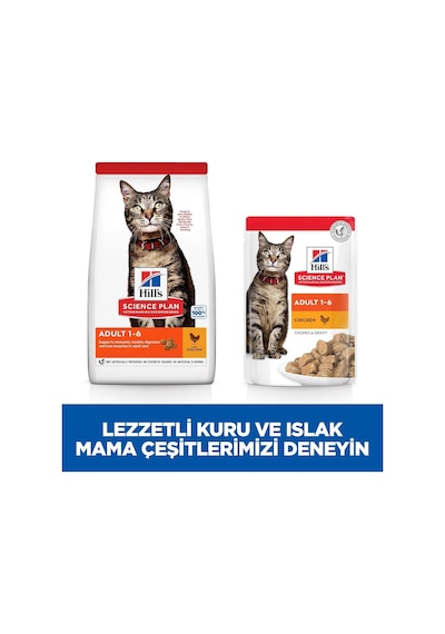 's Sp Tavuklu Yetişkin Kedi Maması 1.5kg
