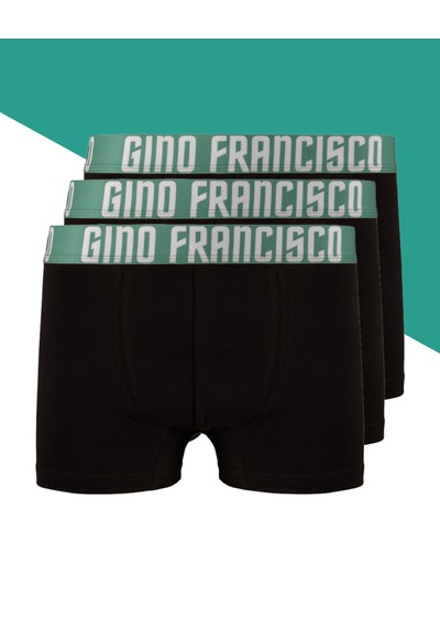 Gino Francisco Erkek Boxer 3'lü Paket Pamuklu Mood Serisi Premium Kutulu Set Yeşil
