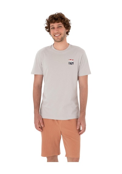 U.S. Polo Assn. Erkek Regular Fit Bisiklet Yaka Tişört Gri