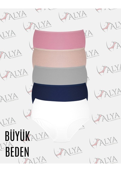 Alya Underwear Kadın Extra Battal Külot - 5 Adet Beyaz 8xl, 9xl, 10xl Çok Renkli2