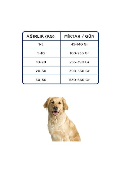 Econature Kuzulu Yetişkin Köpek Maması Sarı Ambalaj 15 Kg