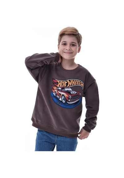 Kahverengi Erkek Çocuk Baskılı Sweatshirt Kahverengi