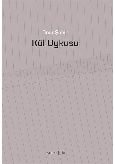 Kül Uykusu / Onur Şahin