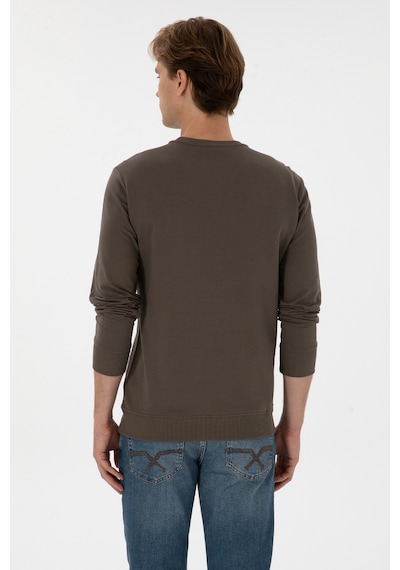 U.S. Polo Assn. Erkek Regular Fit Bisiklet Yaka Vizon İnce Sweatshirt 50315570-VR052