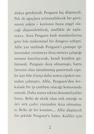 Penguen Adında Bir Kedi