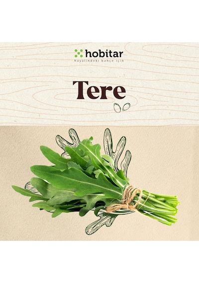 Hobitar Kolay Yetişen Yaze Yeşillikler Sebze Tohumu Paketi - 5 Çeşit Aromatik Tohumu