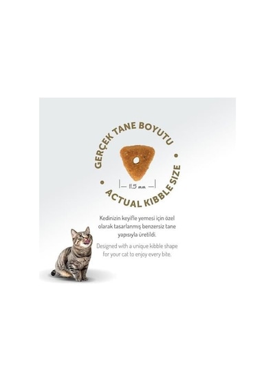 Felicia Urinary Care Sterilised Somonlu Kısırlaştırılmış Yetişkin Kedi Maması 5kg