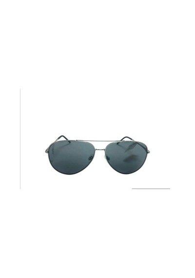 Us Polo Assn. Mod.0278 C.05 Metal Erkek Güneş Gözlüğü Gri