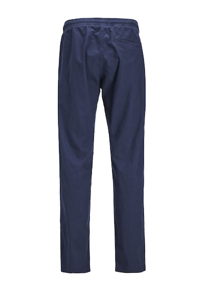 Jack & Jones Jpstkane Jogger Pantolon 12248606 Koyu Lacivert