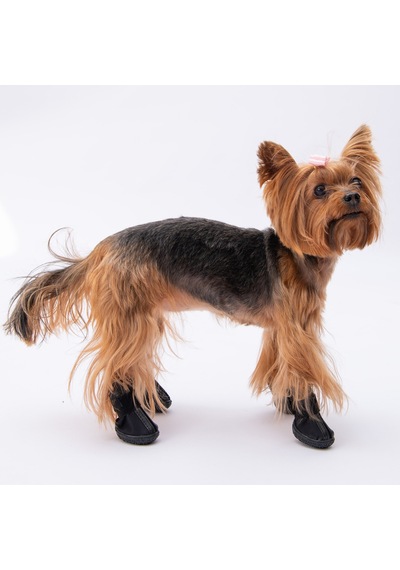 Pawstar Siyah Köpek Ayakkabısı