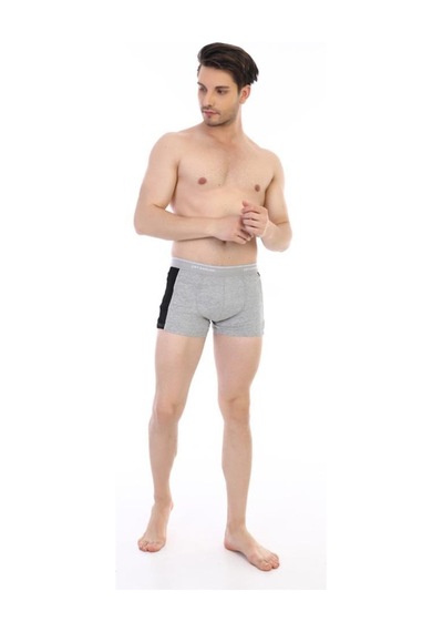 6 Adet Çift Kaplan Erkek Elastanlı Biyeli Boxer 850 Gri