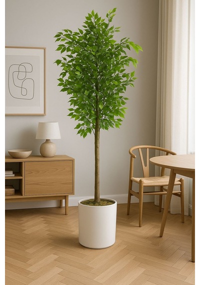 Yapay Benjamın Agacı 150 Cm Beyaz Metal Saksıyla Yeşil
