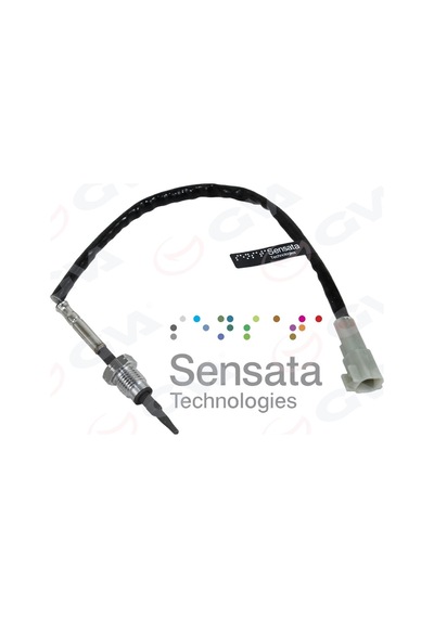 Gva Egsoz Sıcaklık Sensörü Ranger 11 3.2 200ps Gva 5338001 2052950 2457155 Cc1a 12b591 Ea