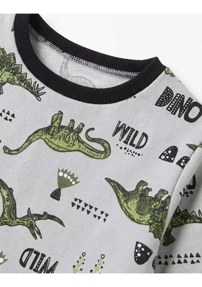 Veraura Lifestyle 4/10 Yaş Dino Baskılı Pamuk Penye Çocuk Pijama Takımı Gri