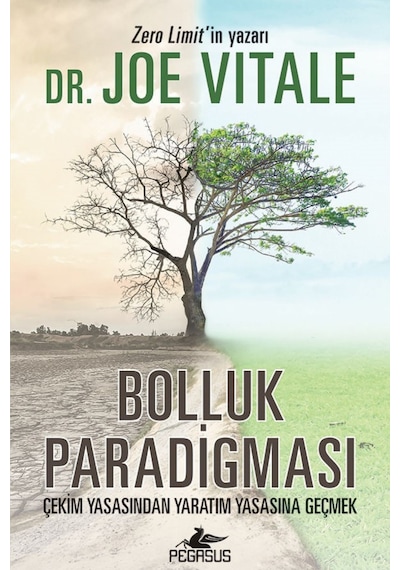 Bolluk Paradigması: Çekim Yasasından Yaratım Yasasına Geçmek