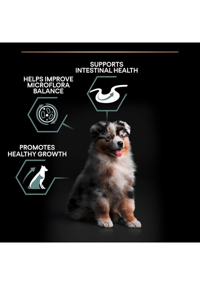 Puppy Sensitive Digeston Kuzu Etli Yavru Köpek Maması 3 Kg