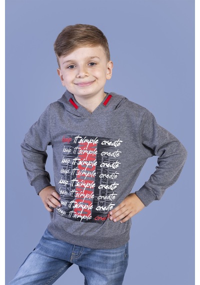 Toontoy Kids Toontoy Erkek Çocuk Kapüşonlu Baskılı Sweatshirt Antrasit