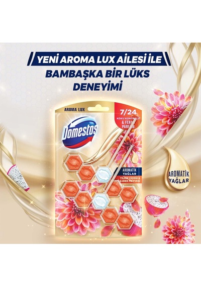 Domestos Tuvalet Bloğu Yıldız Çiçeği & Ejder Meyvesi 4 x 100 G