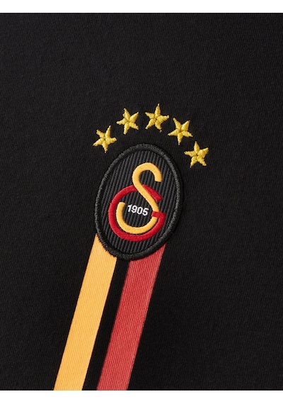 Galatasaray Lisanslı 5 Yıldız Detaylı Siyah T-shirt Aslan Ahşap Kutulu E251398