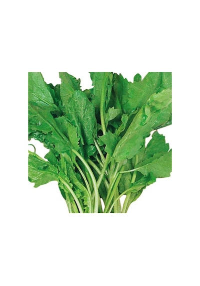 Tere Tohumu 10 GR Paket